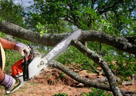 Mulching Services in Madison, IL